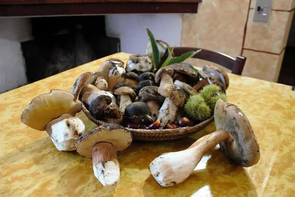 Agriturismo Piperedda Irgoli 0*,
